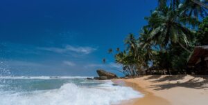 pexels beach 1867590 1920